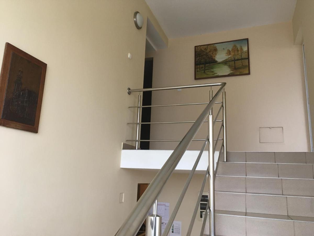 Pensiunea Brigi Satu Mare Exterior foto