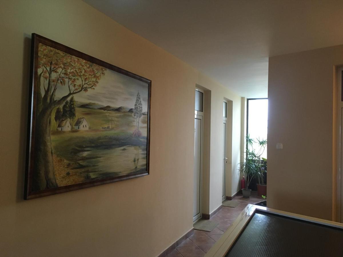 Pensiunea Brigi Satu Mare Exterior foto