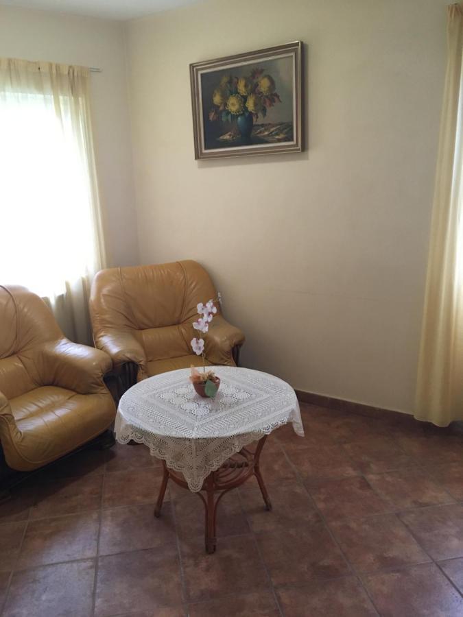 Pensiunea Brigi Satu Mare Exterior foto