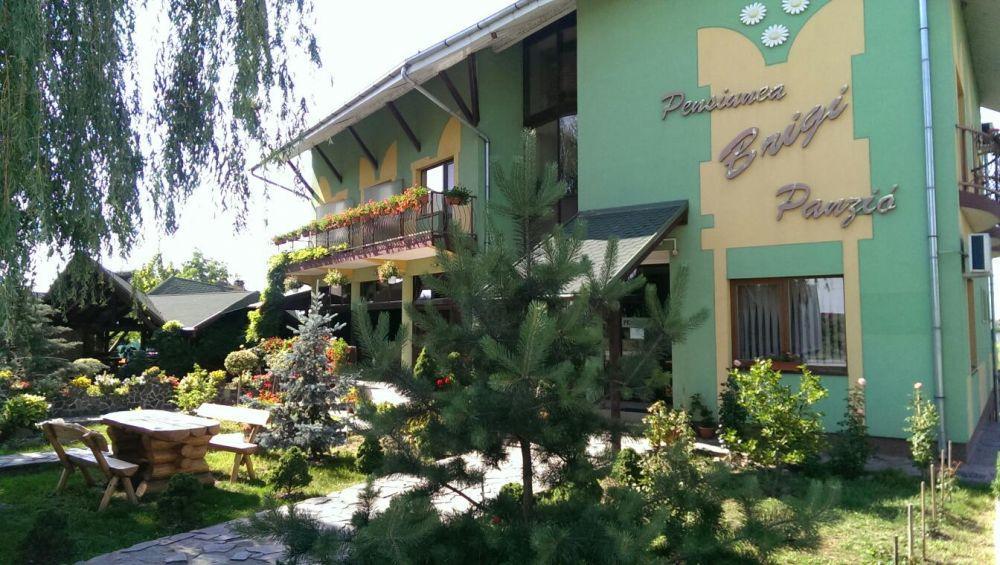 Pensiunea Brigi Satu Mare Exterior foto
